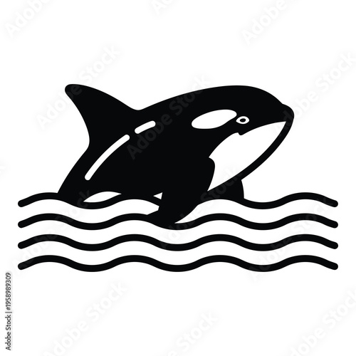 Black orca whale swimming in wavy ocean water illustration icon