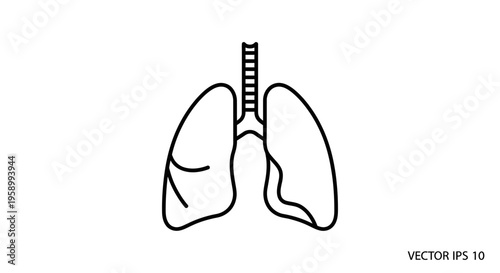 Human Lungs Anatomy Icon Vector Illustration