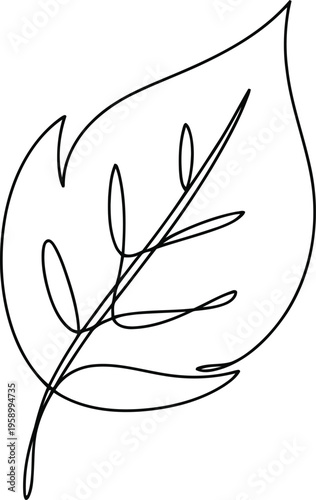 A black and white drawing of a leaf