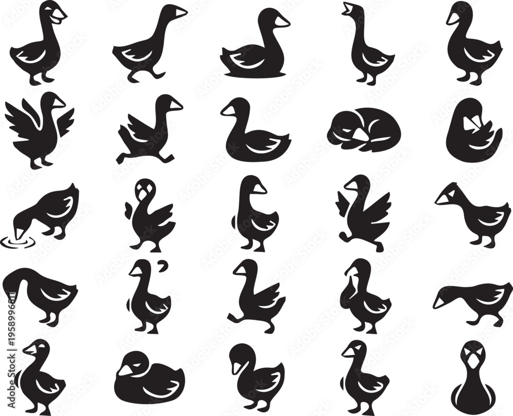 Obraz premium 25 Unique Black Goose and Duck Icons with Varied Poses.