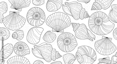 A minimalist vector illustration of various seashells in a simple line art style on a white background