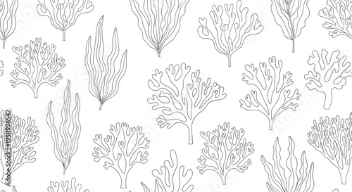 A minimalist vector illustration of various seaweed species in a simple line art style