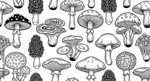 A detailed vector illustration of various mushrooms in a flat design style