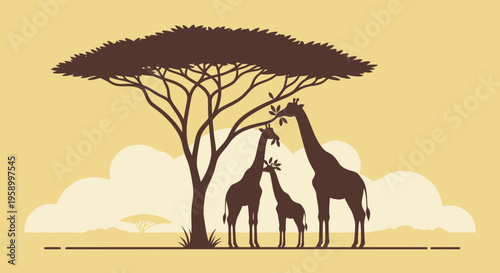 African Savannah Silhouette: Giraffe Family Under Acacia Tree at Sunset