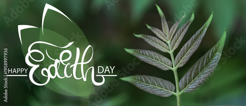 Beautiful green leaves on t...