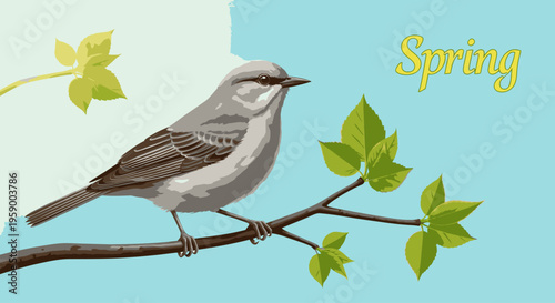 A vibrant orange goldfish with white fins against a clean white background.