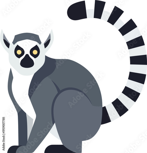 A sitting lemur with a long striped tail looks forward curiously on white