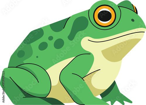 The green frog sits calmly on land with large eyes looking forward.