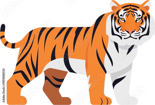 The majestic tiger walks slowly through a natural landscape with tortoise