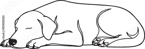 A Peaceful Dog Sleeping on a Cozy Rug.Fantasy Dog Line Art Coloring Printable.