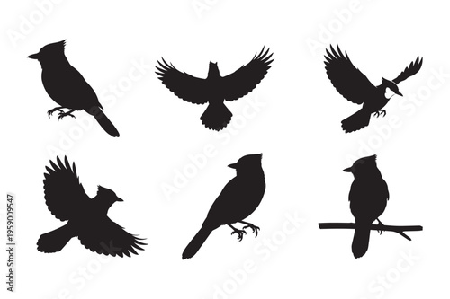 Blue Jay Bird Silhouette Vector Illustration Black SVG Clipart
