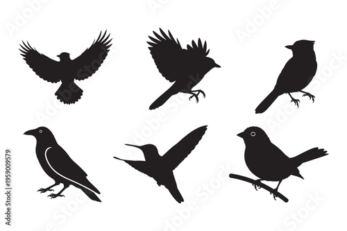 Blue Jay Bird Silhouette Vector Illustration Black SVG Clipart