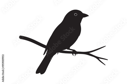 Blue Jay Bird Silhouette Vector Illustration Black SVG Clipart