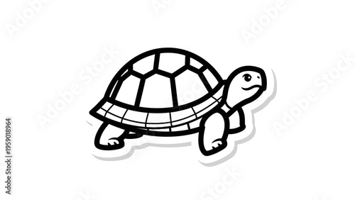 A vibrant orange goldfish with white fins against a clean white background.