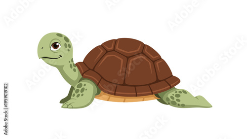 A vibrant orange goldfish with white fins against a clean white background.