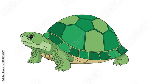 A vibrant orange goldfish with white fins against a clean white background.