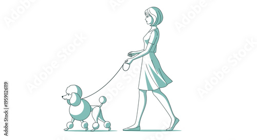 Elegant woman walking a poodle on a leash illustration