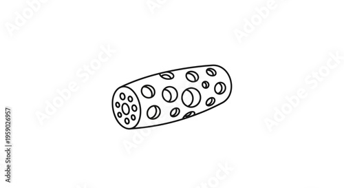Abstract illustration of a perforated cylindrical object with circular holes, black and white line art