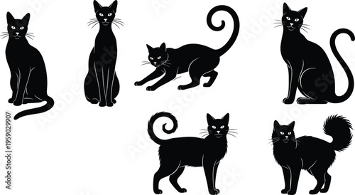 Black cat silhouettes collection various poses elegant feline shapes vector illustration isolated spooky halloween pet design minimal style set