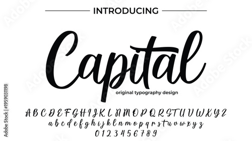 Capital Font Stylish brush painted an uppercase vector letters, alphabet, typeface