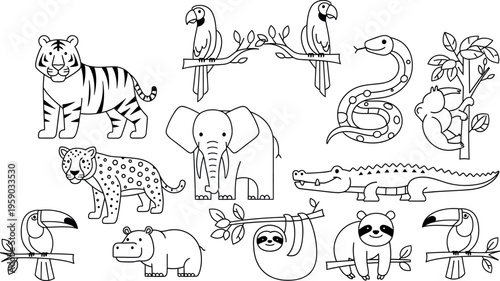 A collection of hand drawn illustrations of various wild animals in a single composition