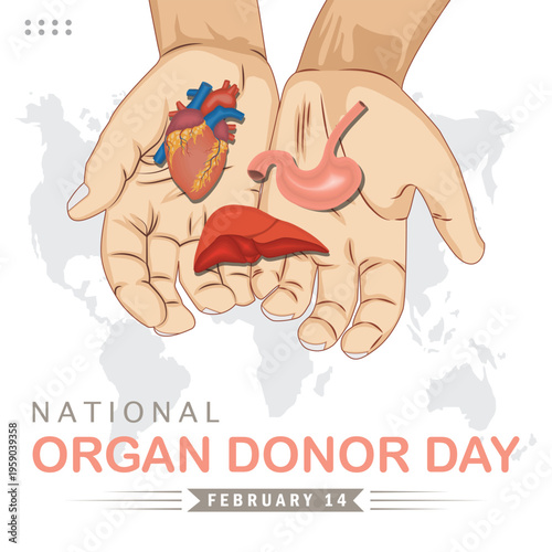 National Organ Donor Day concept illustration with hands holding human organs heart liver and stomach on world map background healthcare awareness February 14.