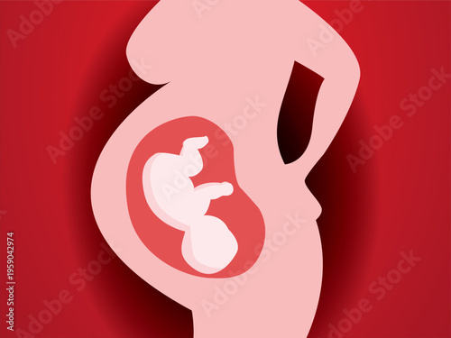 Pregnancy Womb with Fetus Illustration Maternal Health Concept