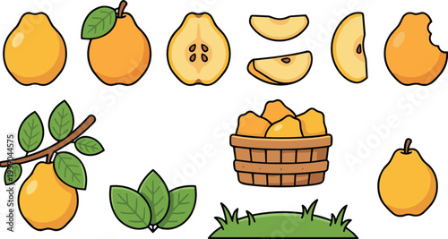 Pear Fruit Vector Set with Whole, Sliced, and Basket Composition Featuring Fresh Organic Produce Illustrations for Healthy Food Design and Agriculture Theme