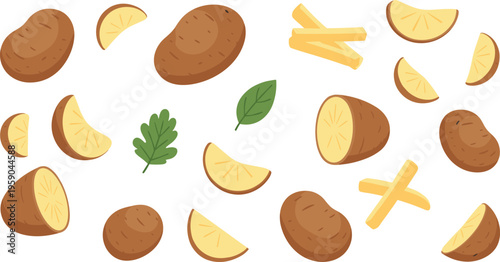 Potato Vector Set with Whole, Sliced, and French Fries Pieces Featuring Fresh Vegetable Illustrations for Cooking, Food Design, and Kitchen Ingredients