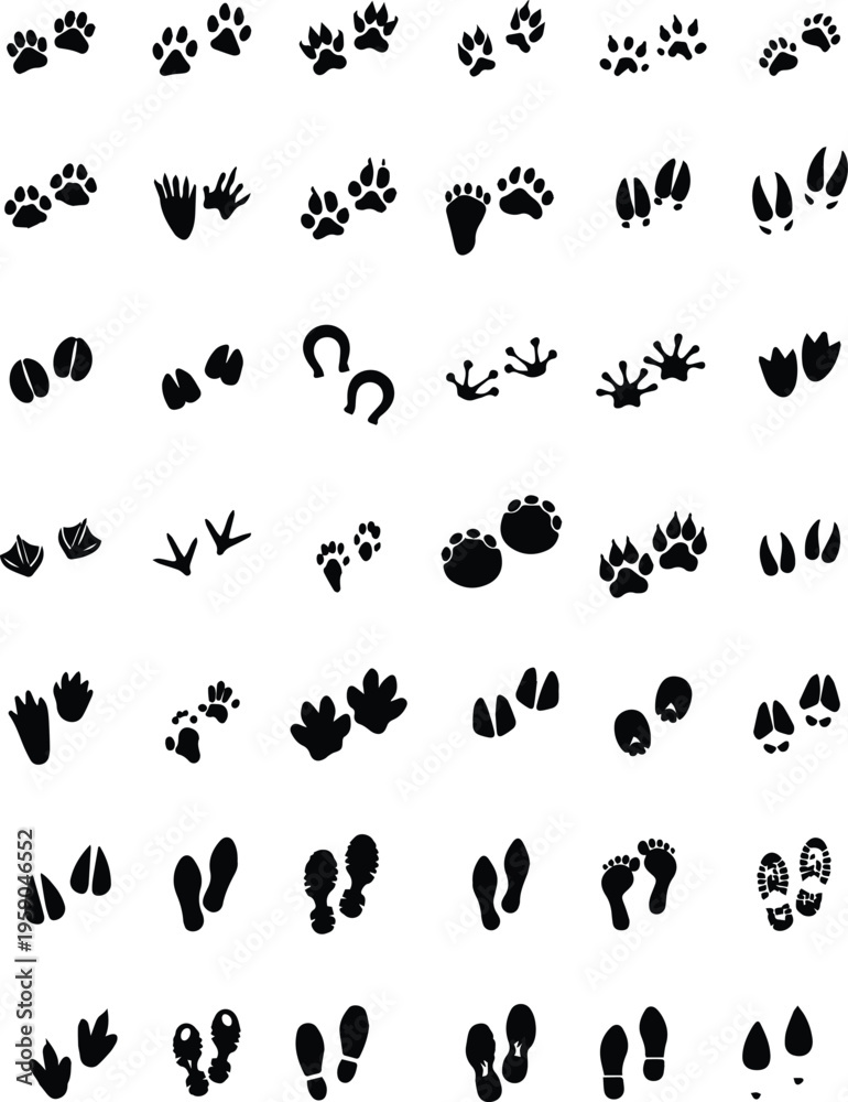 Obraz premium Animal Tracks Footprints Guide Vector Set