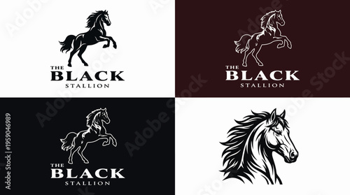 This striking logo features a powerful stallion in black-and-white, symbolizing strength, freedom, and grace, perfect for equestrian businesses or horse-related brands.