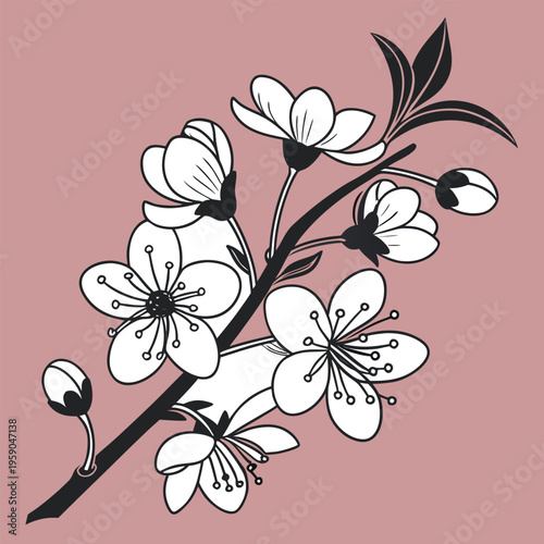 Cherry Blossom Branch, Pink Background, Black and White Floral Vector, Sakura Flowers