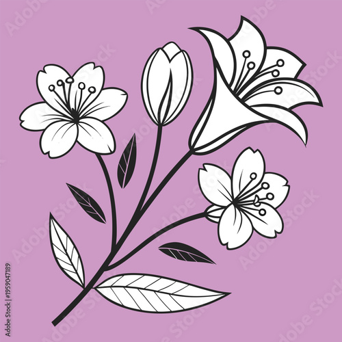 Black and white floral illustrations, flower branch, botanical vector graphics, pink background