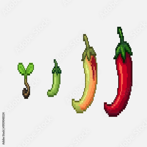 pixel art of chili pepper ripening process showing a tiny seedling growing into a long green, orange, and spicy red pepper.