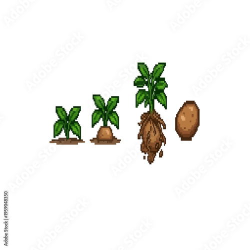 pixel art of potato plant growth stages from leafy sprout to underground tuber development and a clean harvested brown potato.