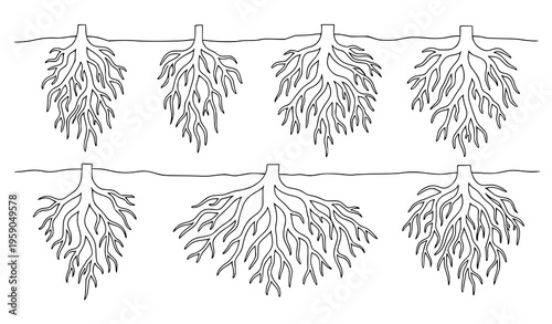 An illustration of seven plant root systems growing underground in a vector graphic design