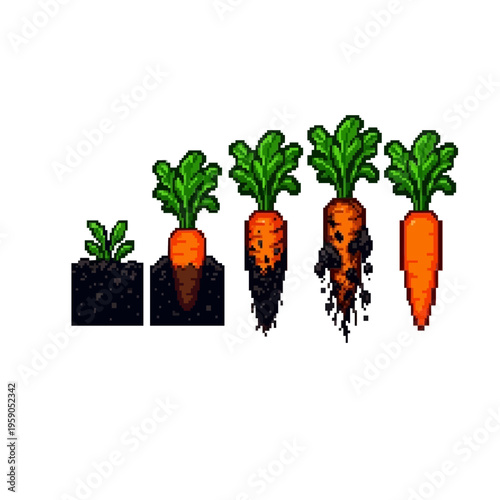pixel art of carrot growth stages showing the root developing in soil and being pulled out to reveal a clean orange vegetable.