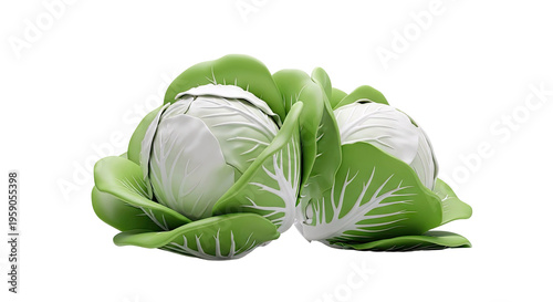 Two Cabbages