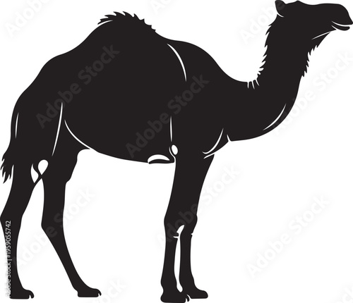 Black camel silhouette, desert animal icon, camel vector isolated on Transparent Background