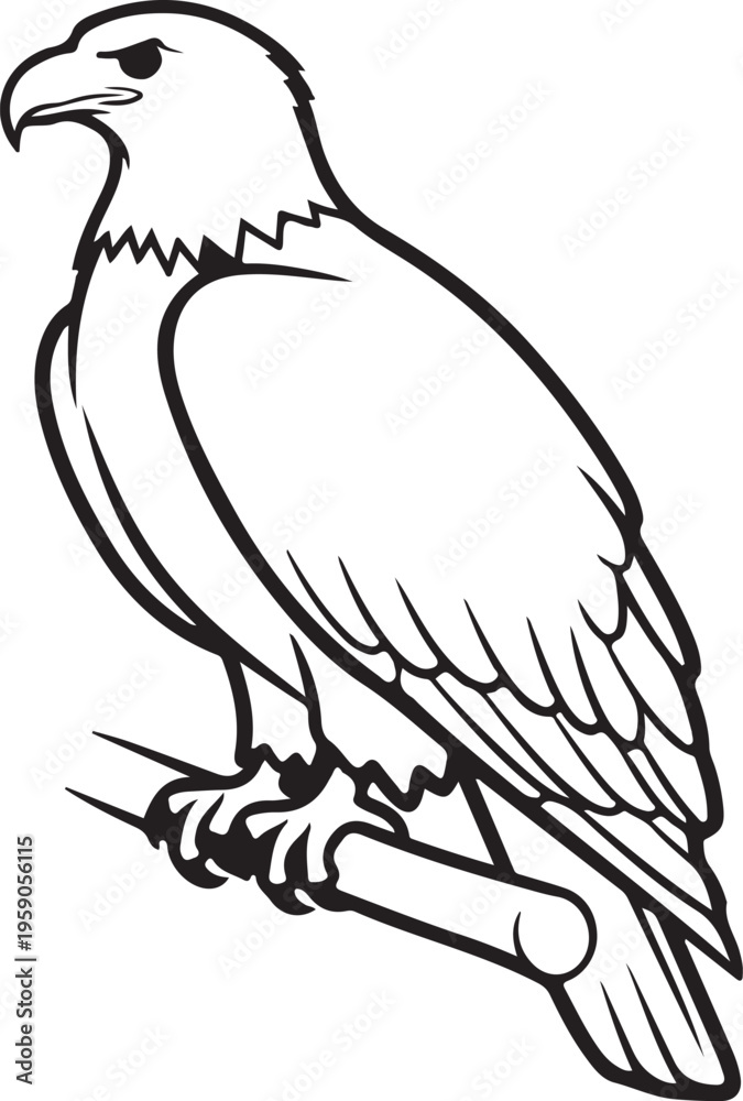Obraz premium Eagle, Bird, Wildlife, Illustration, Vector isolated on Transparent Background