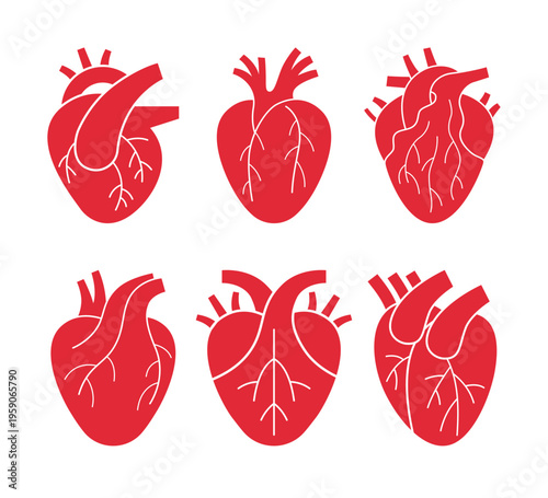 Human anatomical heart silhouettes set. Vector flat illustration of red heart organs with arteries and veins. Cardiology, medicine and healthcare design elements. Stencil templates.