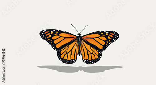 A vibrant orange monarch butterfly with black and white details spreads its wings against a clean white background with a subtle shadow underneath.