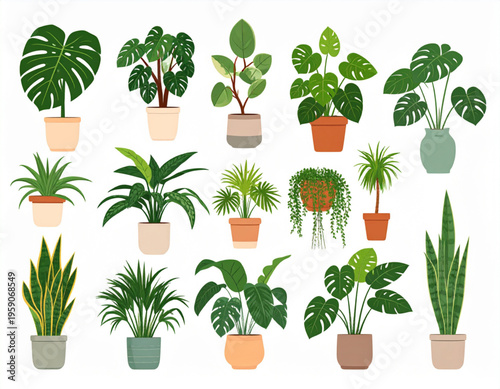 Collection of various indoor potted houseplants featuring diverse tropical foliage and green leaves