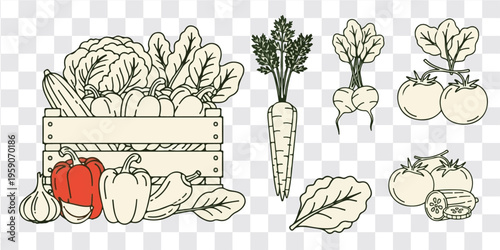 Fresh vegetables in wooden crate carrot beetroot tomato on transparent background illustration