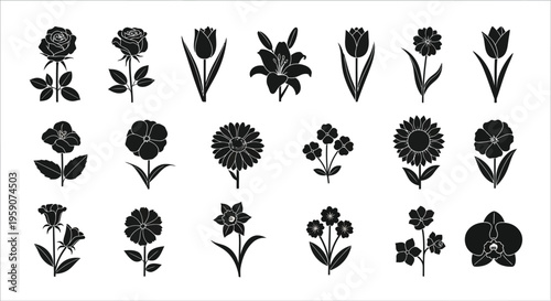 Black floral silhouettes on white background flowers
