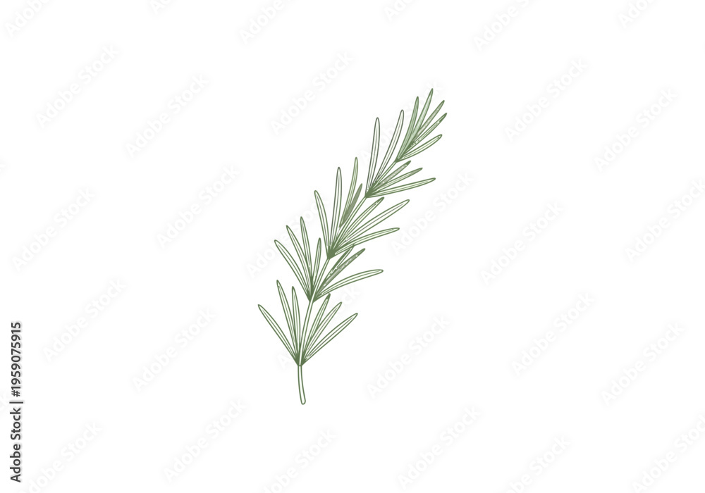 Obraz premium Elegant Hydroponic Rosemary Logo: Muted Green Herb Sprig Design for Sophisticated Agri-Brands