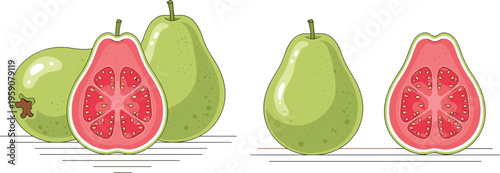 Guava fruit vector illustration with whole and sliced guava fresh tropical organic fruit isolated for healthy food design