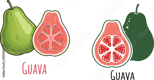 Guava fruit vector set with hand drawn whole and sliced guava tropical fresh food illustration for healthy organic design