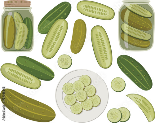 Pickled and fresh cucumbers collection with slices and jars, healthy organic food vector illustration
