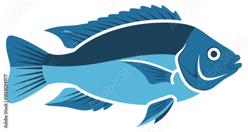 Blue Tilapia Fish Side View Detailed Scales Aquatic Life Isolated on White Background Graphic Illustration